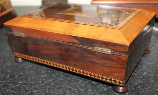 A Tunbridge ware rosewood butterfly mosaic box, 8.25in.
